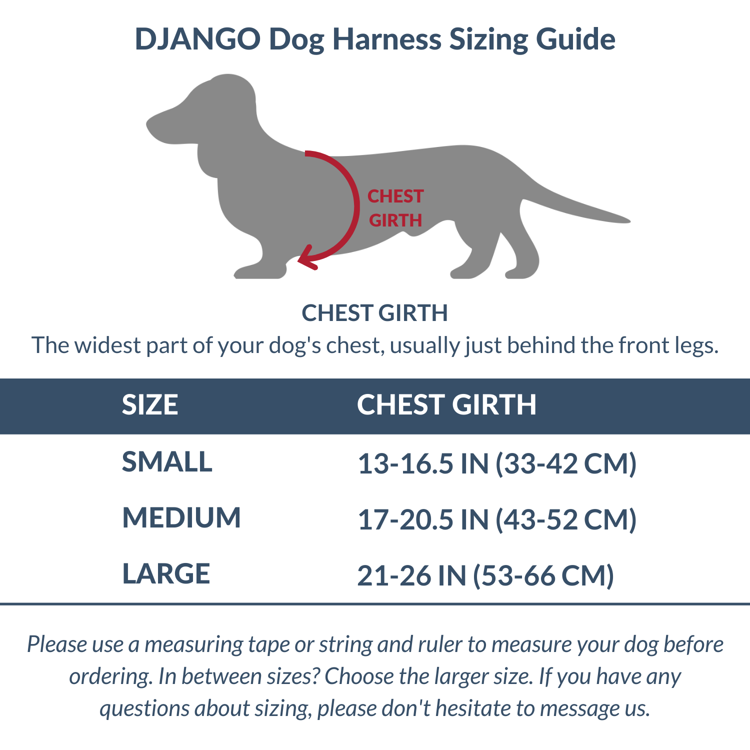 Black Adventure Dog Harness - Harness - Holler Brighton - DJango