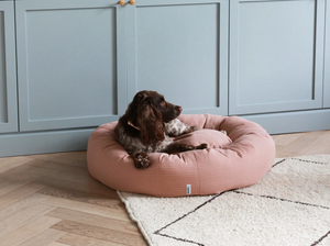 5 Essential Tips for Choosing the Perfect Dog Bed