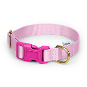 Baby Pink + Cerise Webbing Clip Collar - Collar - Holler Brighton - Holler Brighton