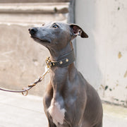 Grey - Leather Sighthound Collar - Collar - Holler Brighton - Vackertass