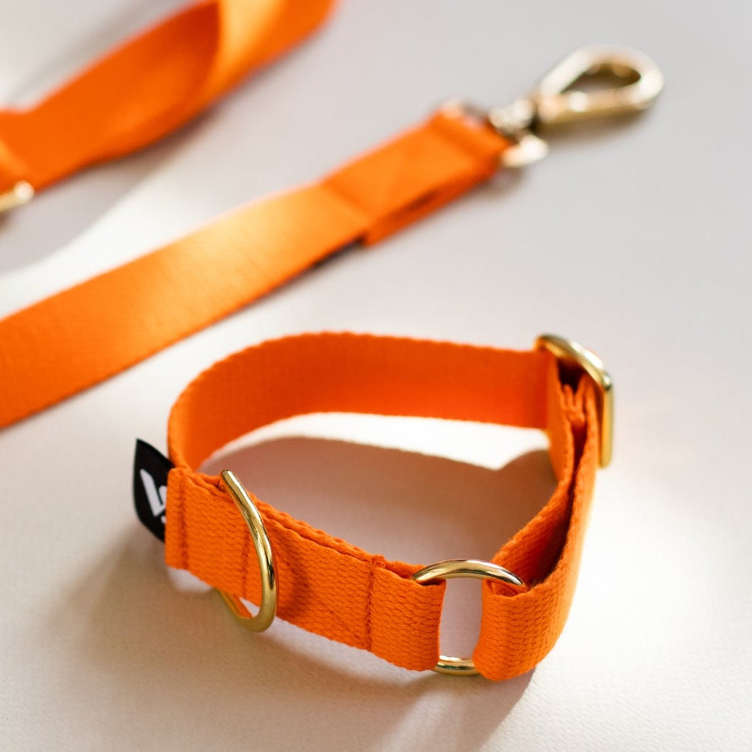 Orange - Cotton Collar - Hound Collar - Holler Brighton - Vackertass