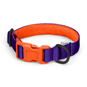 Purple +  Orange Webbing Clip Collar - Collar - Holler Brighton - Holler Brighton
