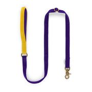 Purple + Yellow Custom-made Extendable Lead - With Soft Touch Handle. - Pet Leashes - Holler Brighton - Holler Brighton