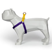 Purple + Yellow Custom-Made Step-in Harness - Harness - Holler Brighton - Holler Brighton
