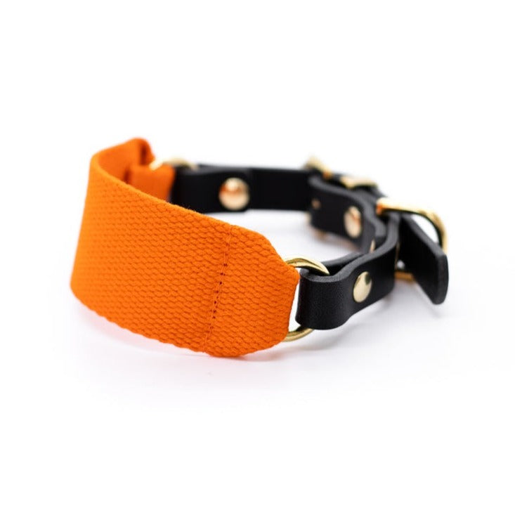 Orange and Black- Leather Cotton Duo Hound Collar - Hound Collar - Holler Brighton - Vackertass