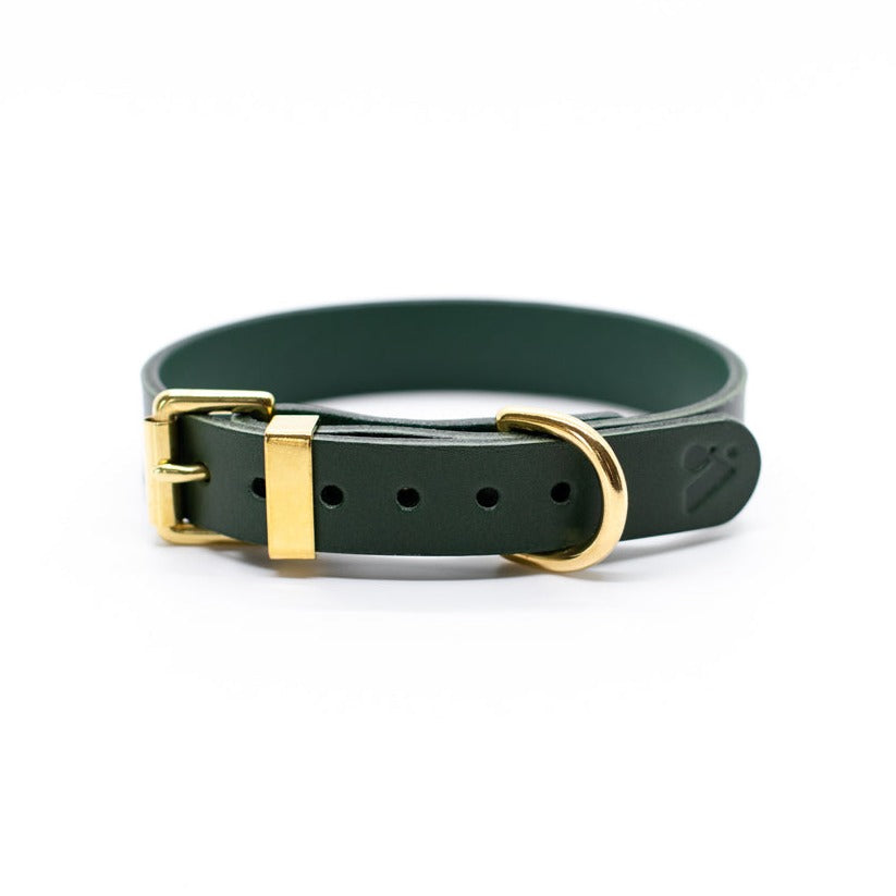 Green - Classic Leather Collar - Collar - Holler Brighton - Vackertass