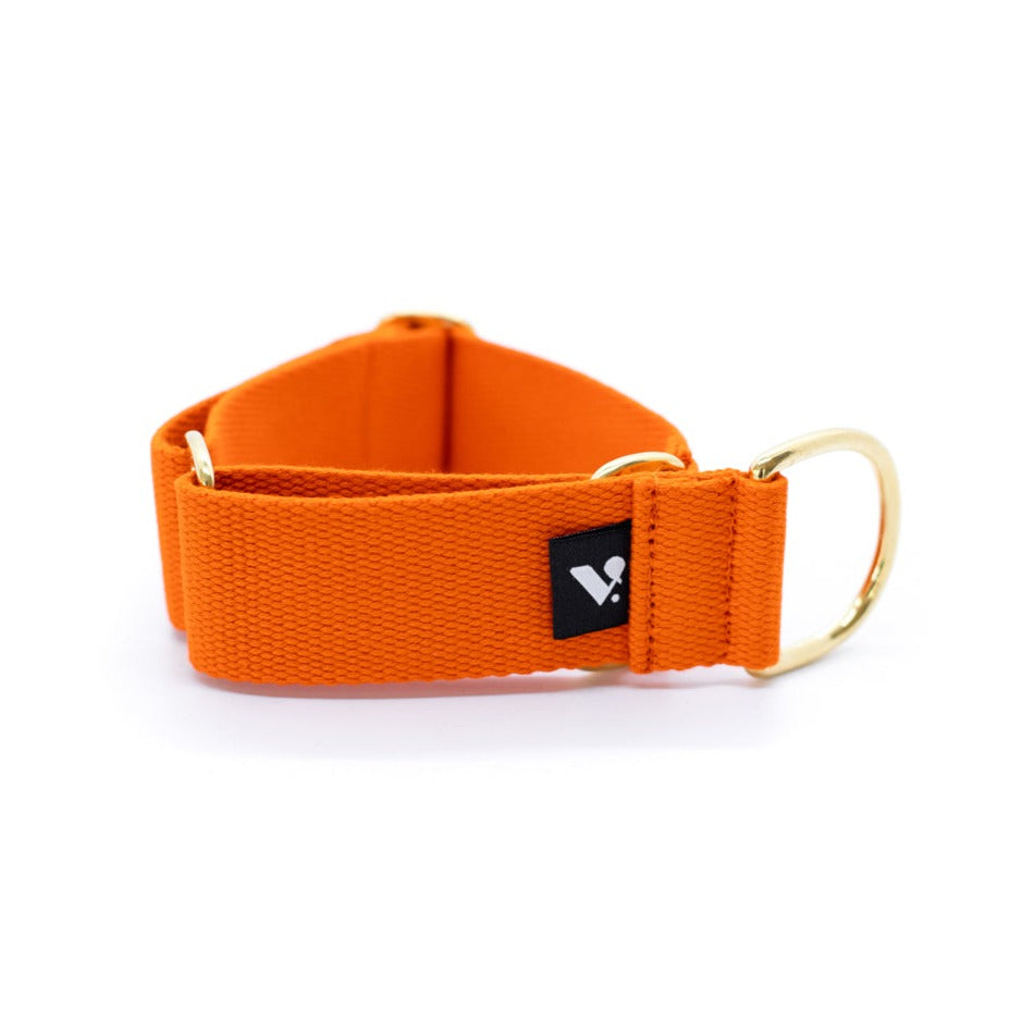 Orange Martingale Cotton Collar - Hound Collar - Holler Brighton - Vackertass