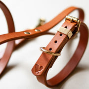 Tan - Classic Leather Collar - Collar - Holler Brighton - Vackertass