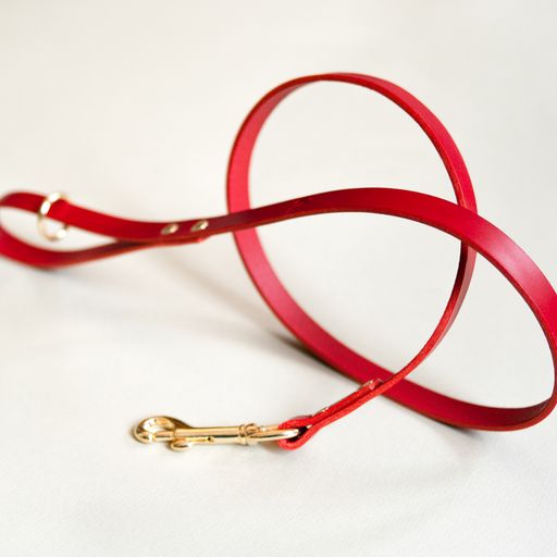 Red - Classic Leather Lead - Lead - Holler Brighton - Vackertass