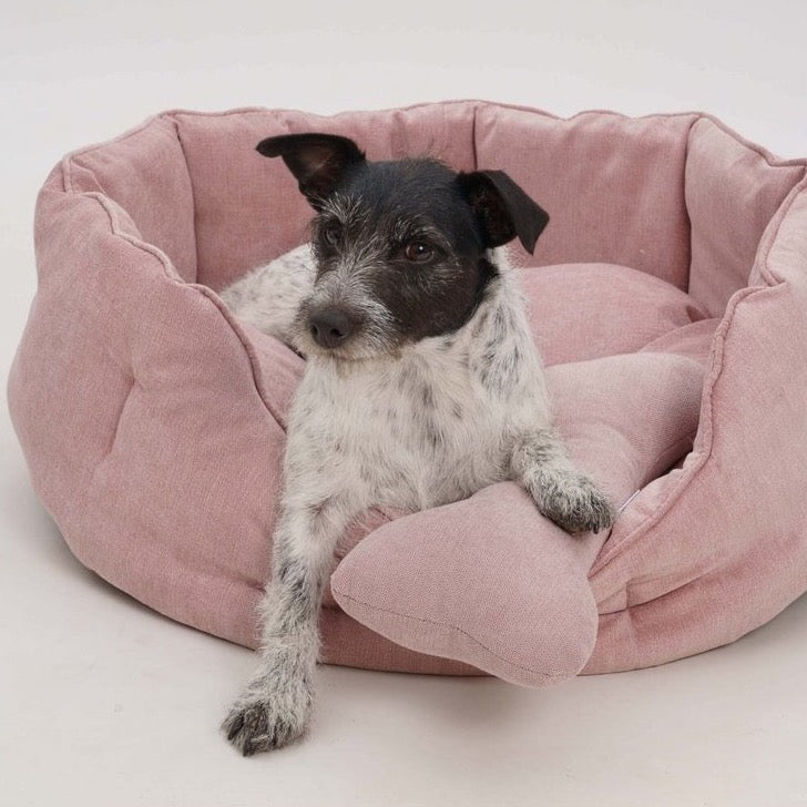 Pink Walled Basket Bed - Dog Beds - Holler Brighton - Dogs in the CITY