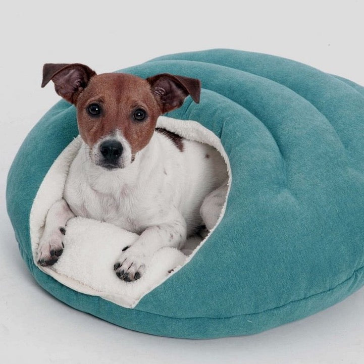 Teal Blue Bubble dog Basket - Dog Beds - Holler Brighton - Dogs in the CITY