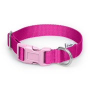 Cerise + Pink Webbing Clip Collar - Collar - Holler Brighton - Holler Brighton