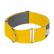 Yellow + Steal Grey soft webbing martingale collar - Martingale Collar - Holler Brighton - Doggie Apparel