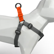 Grey + Orange Custom-Made Step-in Harness - Harness - Holler Brighton - Holler Brighton