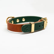 Caramel & Green Duotone Leather Collar + Brass Hardware - Holler Brighton