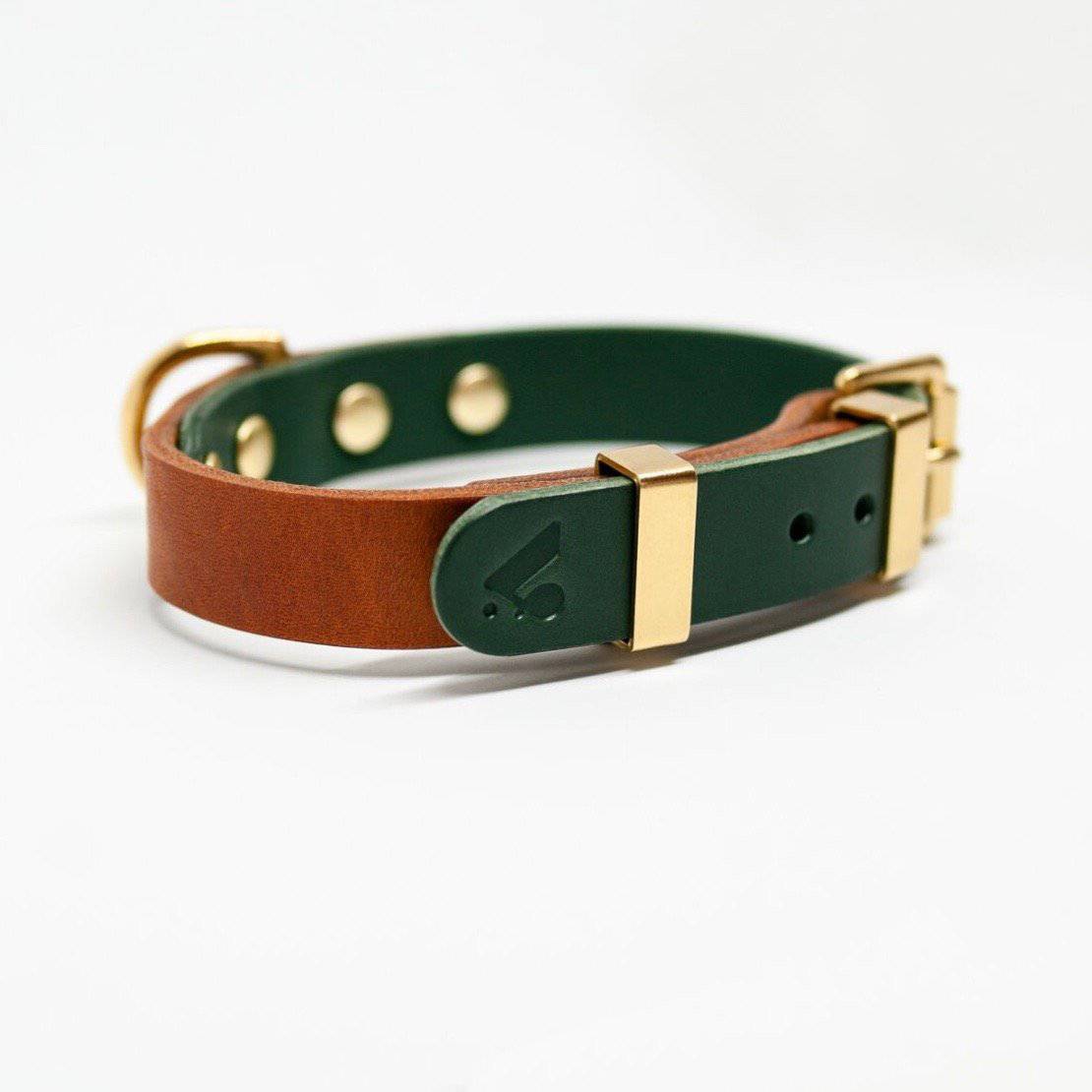 Caramel & Green Duotone Leather Collar + Brass Hardware - Holler Brighton