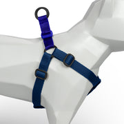 Navy + Royal Blue Custom-Made Step-in Harness - Harness - Holler Brighton - Holler Brighton