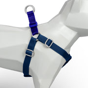Navy + Royal Blue Custom-Made Step-in Harness - Harness - Holler Brighton - Holler Brighton