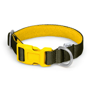 Olive + Yellow Webbing Clip Collar - Collar - Holler Brighton - Holler Brighton