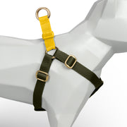 Olive + Yellow Custom-Made Step-in Harness - Harness - Holler Brighton - Holler Brighton