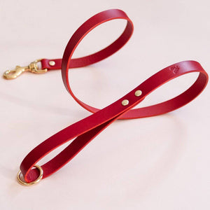 Red - Classic Leather Lead - Holler Brighton