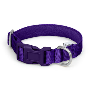 New Collar - Purple -  - Holler Brighton - Holler Brighton