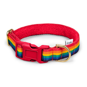 Rainbow + Red - Cushioned Fleece Lined Holler Collar - Collar - Holler Brighton - Holler Brighton