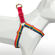 Rainbow + Red Custom-Made Step-in Harness - Harness - Holler Brighton - Holler Brighton