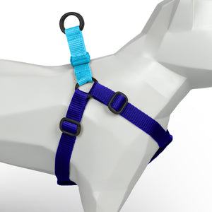 Royal Blue and Sky Blue Custom-Made Step-in Harness - Harness - Holler Brighton - Holler Brighton