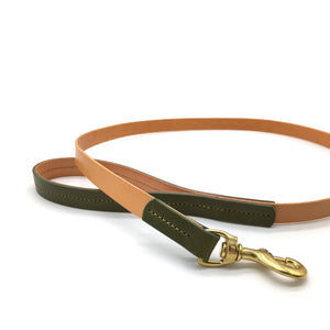 Green and Nude - Leather Lead - Lead - Holler Brighton - Seldom Found