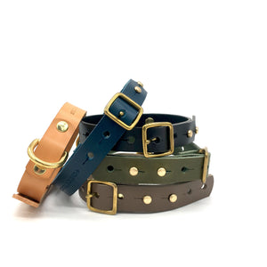 Green Puppy Collar - Classic Leather & Brass Collar - Collar - Holler Brighton - Seldom Found