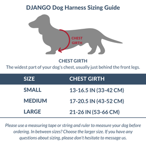 Black Adventure Dog Harness - Harness - Holler Brighton - DJango