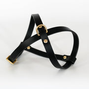 leather harness - Harness - Holler Brighton - Vackertass