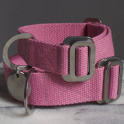 Pink - Cotton Collar + Marine Grade Steel Buckle - Holler Brighton