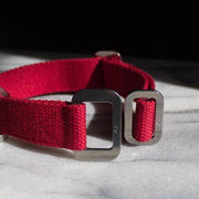 Red - Cotton Collar + Marine Grade Steel Buckle - Holler Brighton