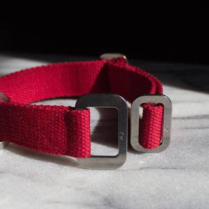 Red - Cotton Collar + Marine Grade Steel Buckle - Holler Brighton