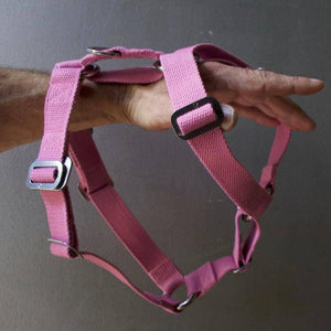 Pink Cotton Harness + Marine Grade Steel Hardware - Holler Brighton