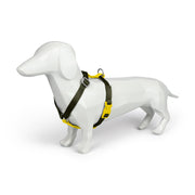 Olive + Yellow - Poly-Webbing H-Harness - Harness - Holler Brighton - Holler Brighton