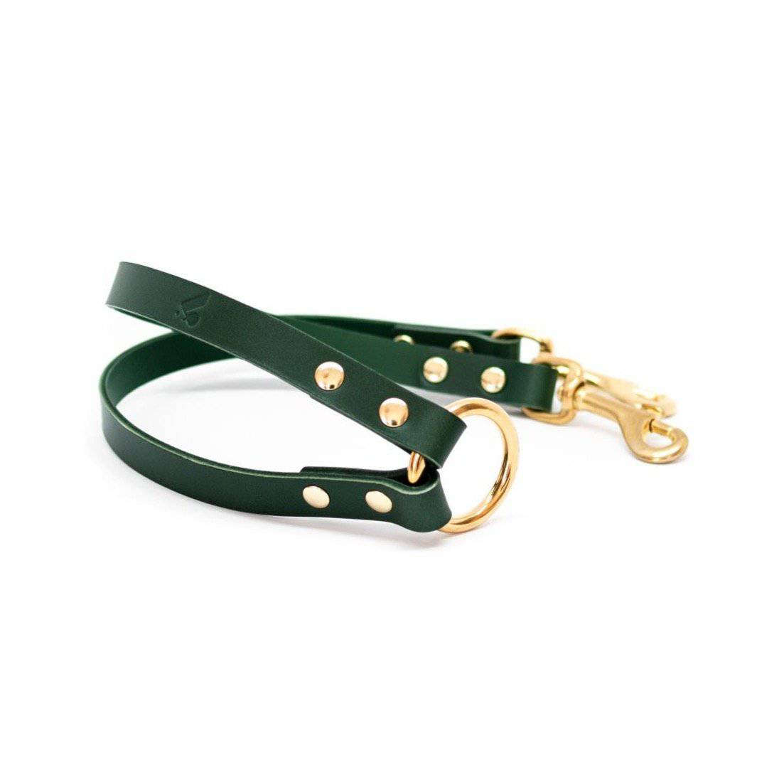 Green - Leather Twin Lead Extension - Holler Brighton