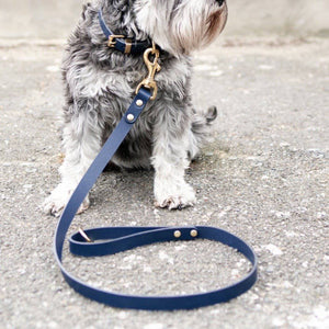 Navy - Classic Leather Lead - Holler Brighton