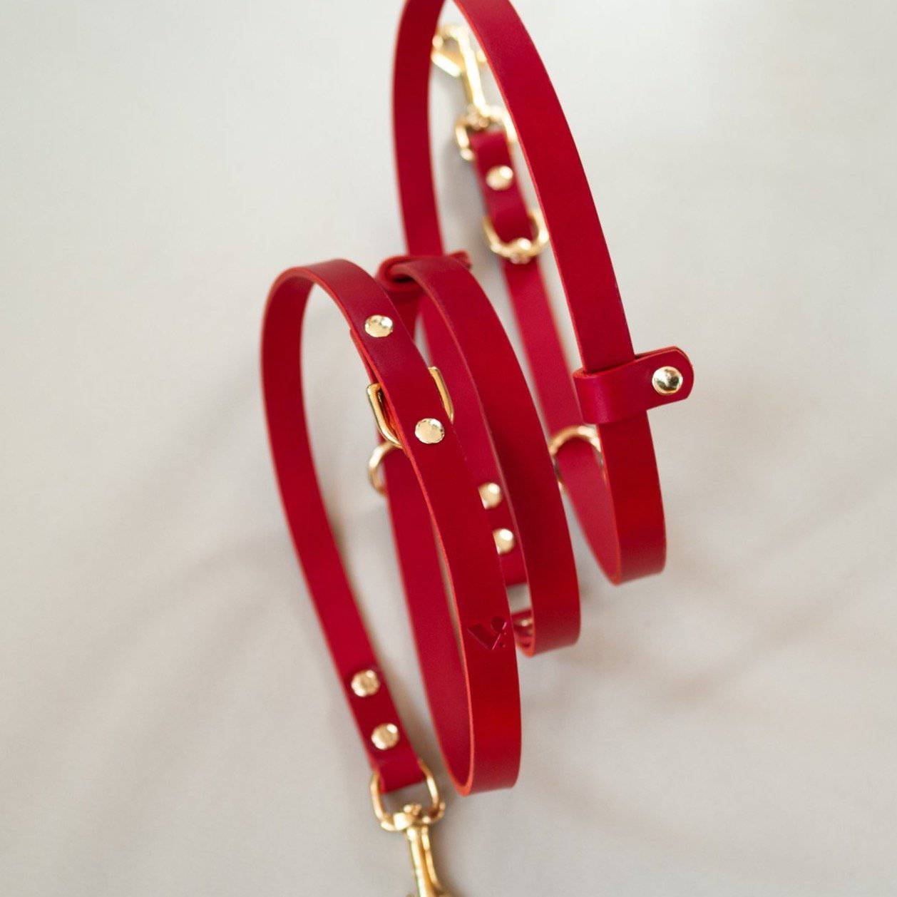 Red Leather Multi-Lead - Holler Brighton